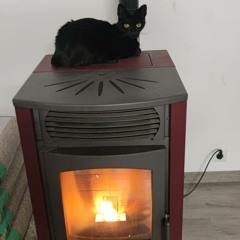 FuckAnIntroductionBitchYouAlreadyKnow (toms edit)