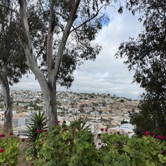 Our_Father_as_the_Evergreen-Hymn 16-Oh Padre, Eres Inmarcesible-Himno 10 ☘️🌹🌱