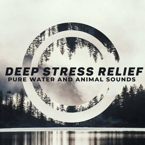 How Music Relieves Stress and Helps You Relax