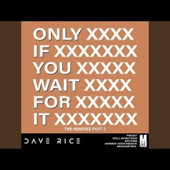 Dave Rice - Only If You Wait For It (McDubtrix Remix)