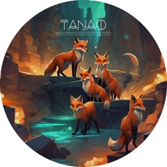 Tanao @ Tumult im Fuchsbau Festival 2024 - Felsenschlucht Samstag Nacht