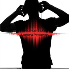 Mashup_Sara Landry_Prisoner_