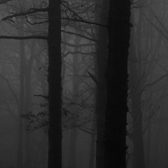 ANXIETY WINS [FREE DL]