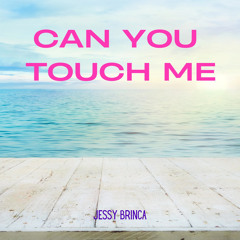 Can You Touch Me