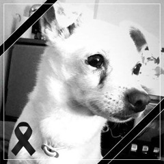 PARA NANO 🖤