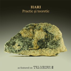 Hari - Practic si Teoretic (snippet)