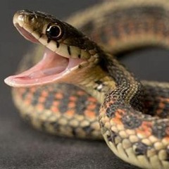 Kato Stilez & Kid Zay (Ft. LIL AJAY)- Victory