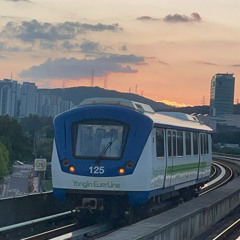 Linga guli guli (YONGIN EVER LINE)