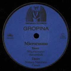 PREMIERE : Gropina - Microcosmo