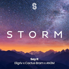 Say It (Radio Edit)
