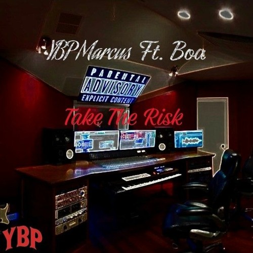 Take The Risk (Ft. Boa)