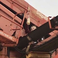 earl gray scam arcade