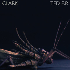 Ted (Bibio Remix)