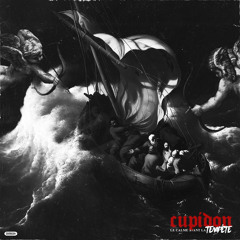 Sa fume (feat. Shreez)