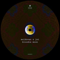 Moldovan & Jnt - Bloodie Moon // free download