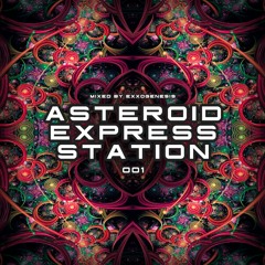 Asteroid Express Station