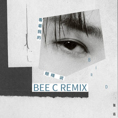 你看著我的眼睛說 ( BEE C REMIX )