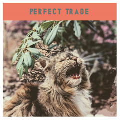 Fir Cone Children - Perfect Trade