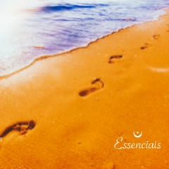 Guerreiros Beira Mar_ para demandas de força e perseverança