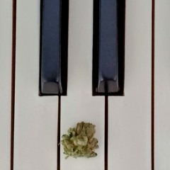 Kanon na fortepian, dwa komputery i mikser