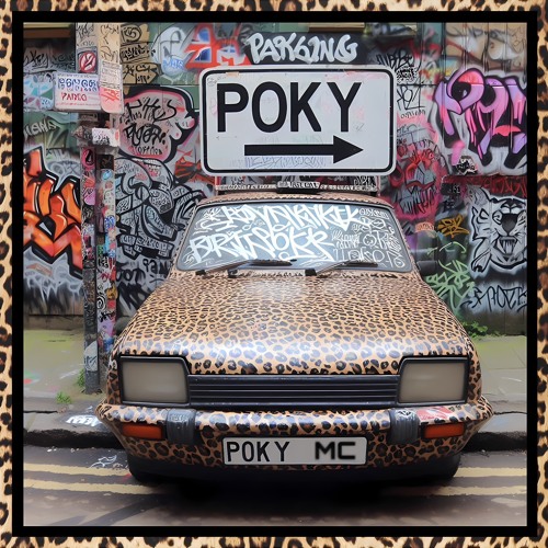 Poky Parking Set ☆ 🅿️