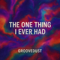 The One Thing I Ever Had (GrooveDust Edit)