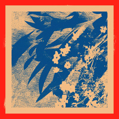 ecology of the wind