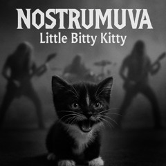 Little Bitty Kitty