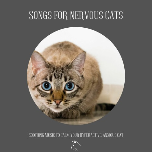 Stream Music for Cats Project | Listen to Songs for Nervous Cats ... - Anxious Cat Music Playlist