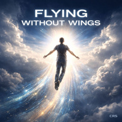 Flying Without Wings