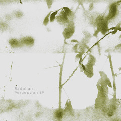 PREMIERE: Badalian - Awareness [Expedition Community]