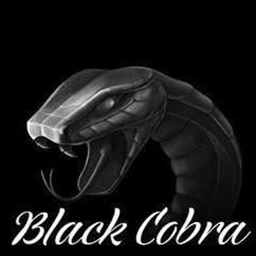 SPESIAL REQUEST COBRA TEAM - [Putu Pangestu]