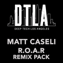 Matt Caseli - R.O.A.R (Jerome Robins & Kide (IT))
