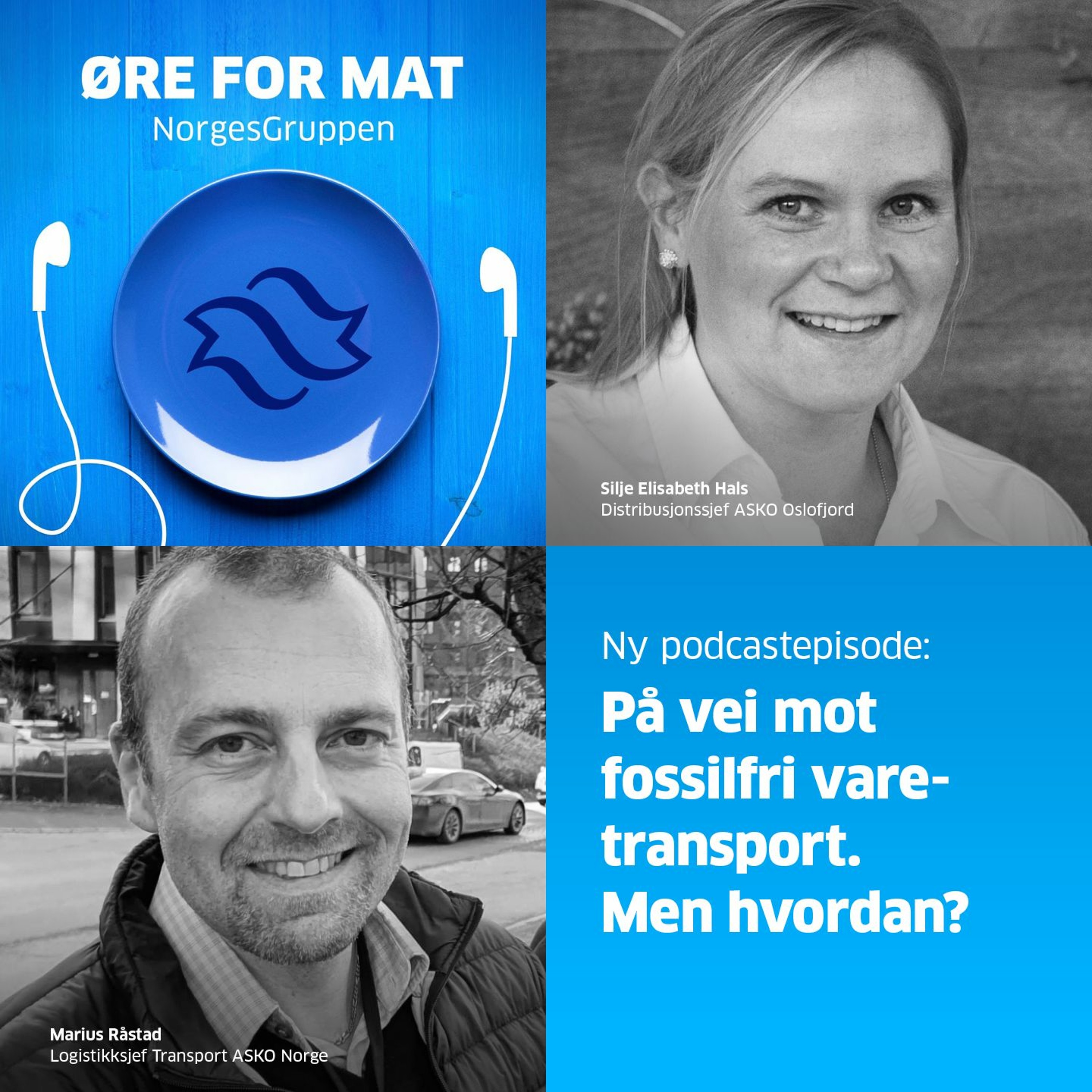 Øre for mat