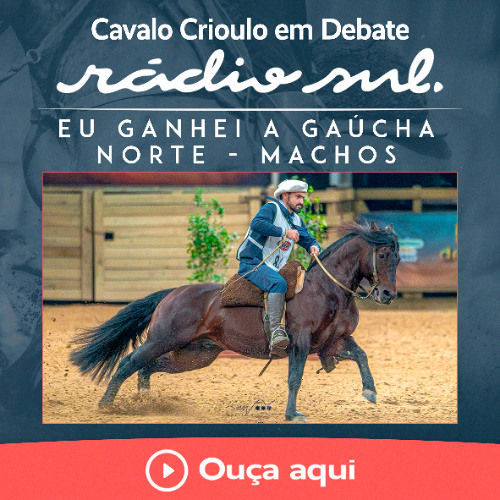 Cavalo Crioulo em Debate #189 - Eu ganhei a Gaúcha Norte - Machos