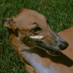 All New Indie
