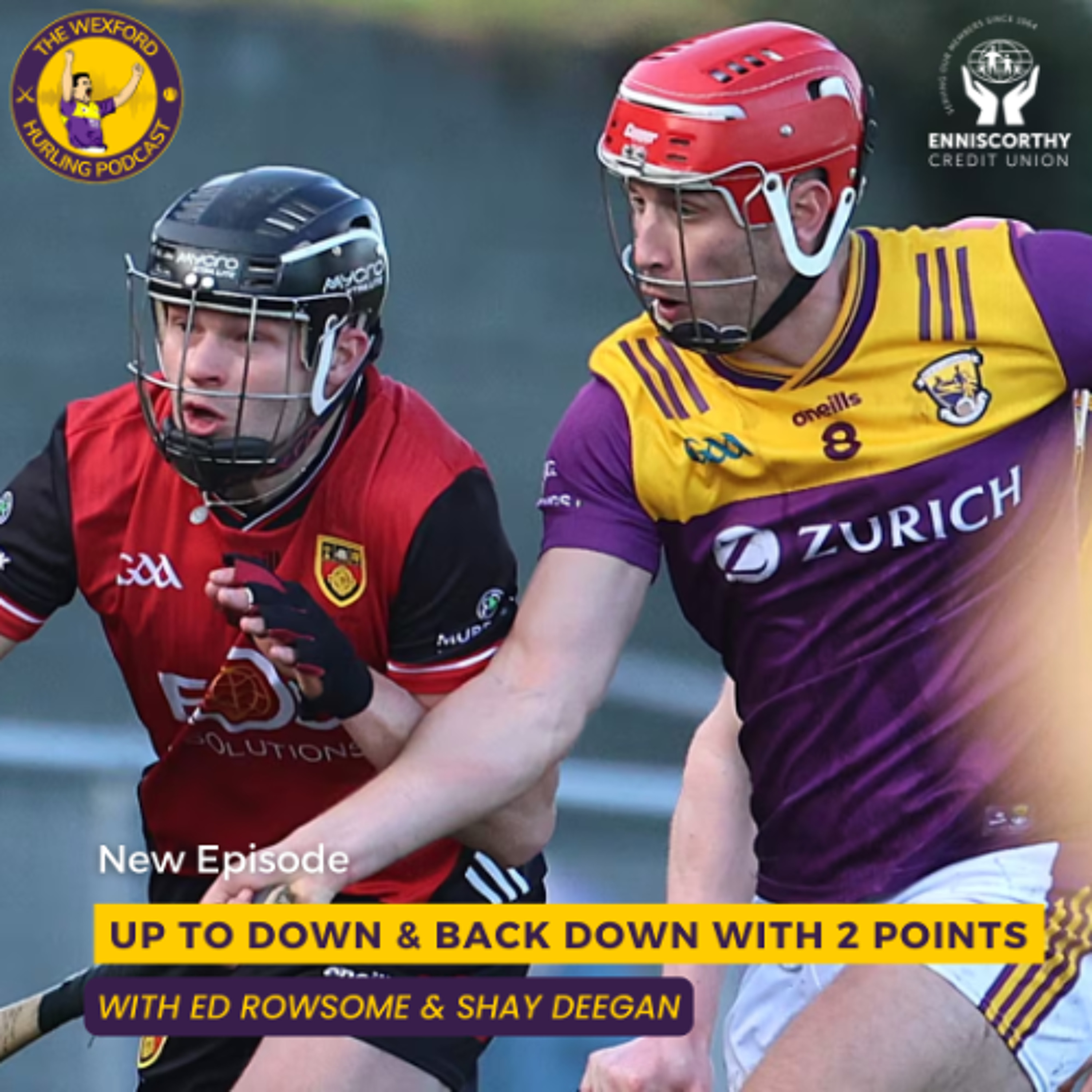 The Wexford Hurling Podcast