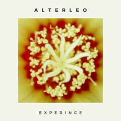 PREMIERE: Alterleo - Slum [Higher Love Recordings]