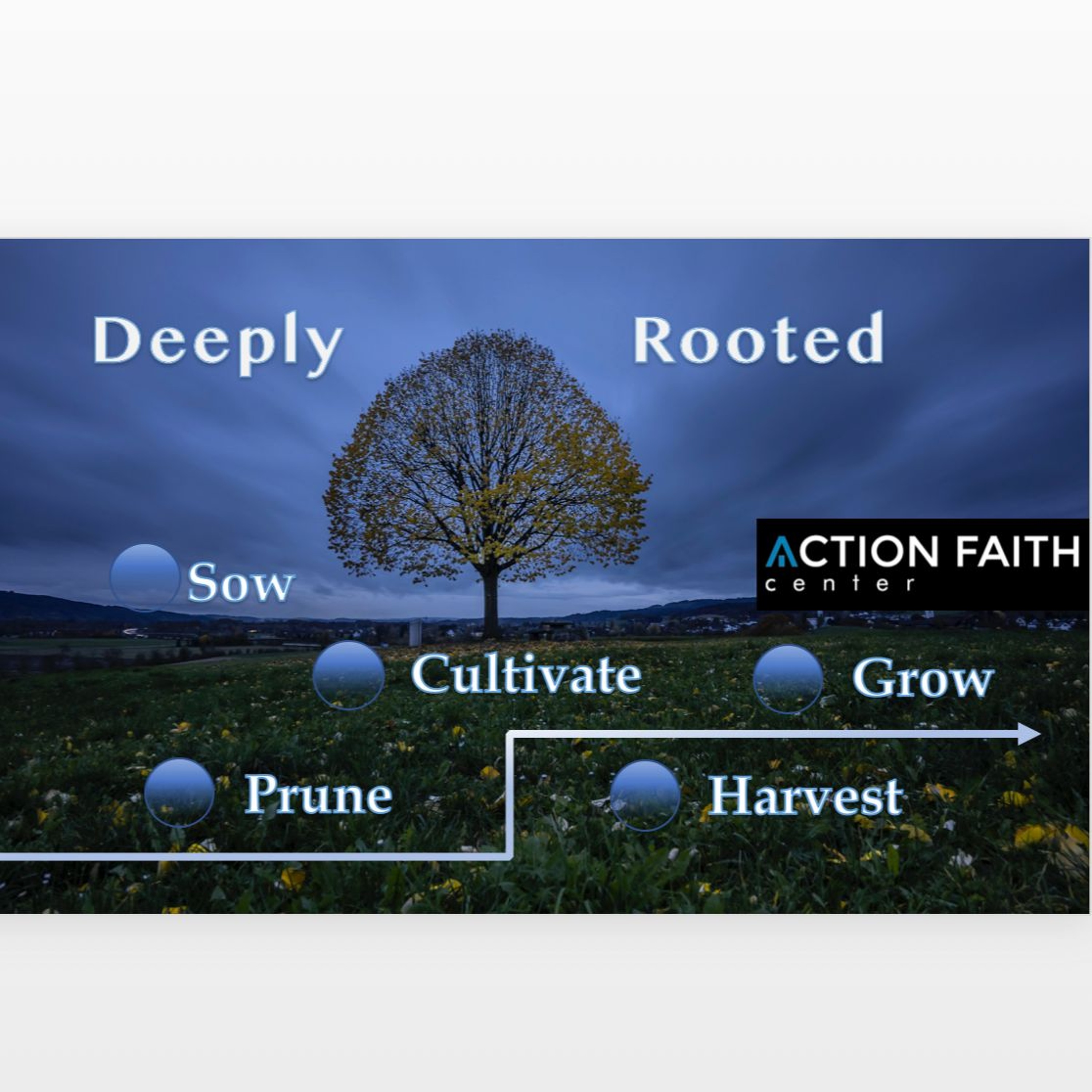 Sept. 5 Deeply Rooted - Pruning episode artwork