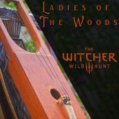 Ladies of the Woods (Tagelharpa Cover) | The Witcher 3 Music