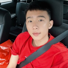 NST VIETMIX 2k25 - Nỗi Đau Mình Ânnnn ✈️✈️