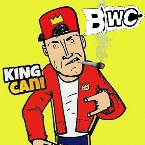 Toni Massama & Papero, Broken Minds - King Cani (BWC Newstyle vs Frenchcore Mashup)
