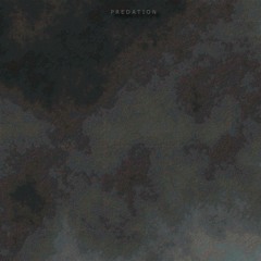 Predation - Perfect Violence