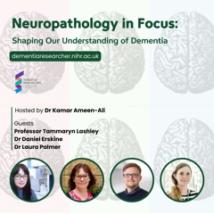 Neuropathology in Focus: Shaping Our Understanding of Dementia
