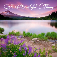 a beautiful thing