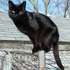 WAYS OF THE WXRLD.wav