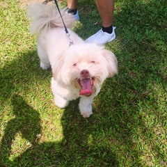 Almost There - Anika Noni Rose (The Princess and the Frog Soundtrack) Cover