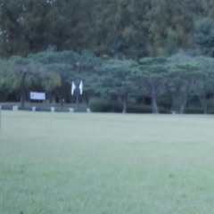 love letter - anthony lazaro (cover)