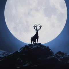 Geotrex - Moonlight (CONTRL Remix)