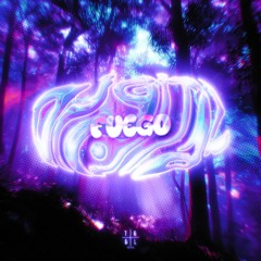 Ariis & Dj Javi26 - FUEGO DIGITAL